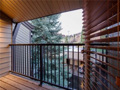 Steamboat Springs Home 927496