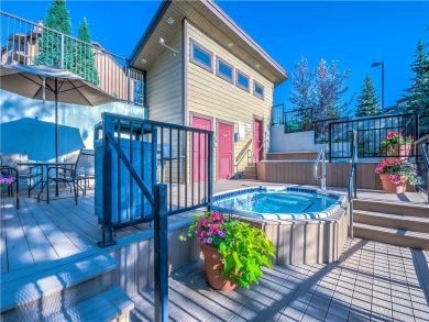 Steamboat Springs Home 927496
