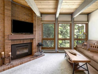 Steamboat Springs Home 927497