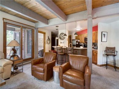 Steamboat Springs Home 927497