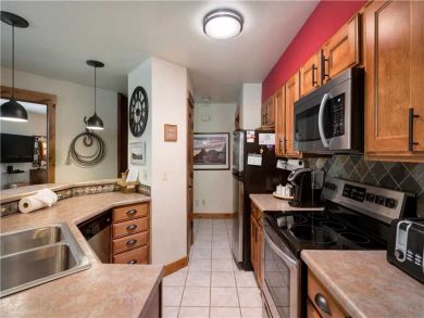 Steamboat Springs Home 927497