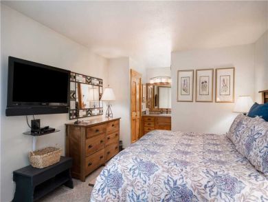 Steamboat Springs Home 927497