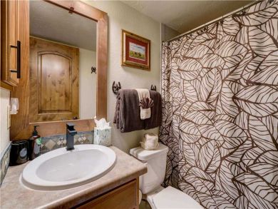 Steamboat Springs Home 927497