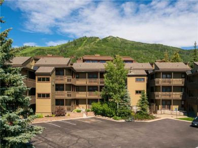 Steamboat Springs Home 927497
