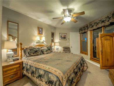 Steamboat Springs Home 927499