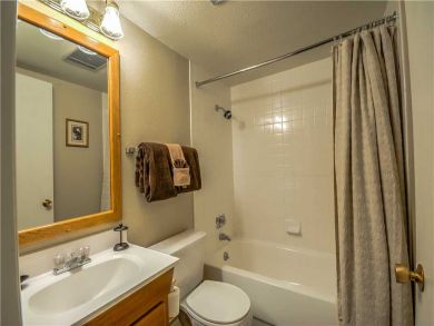 Steamboat Springs Home 927499