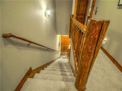 Steamboat Springs Home 927502