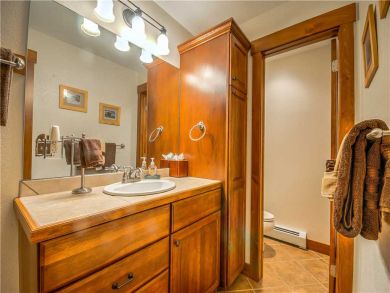 Steamboat Springs Home 927502