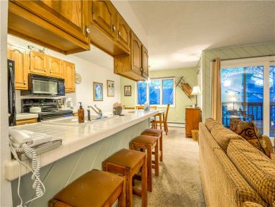 Steamboat Springs Home 927508 Steamboat Springs Home 927508