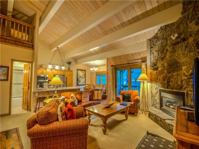 Steamboat Springs Home 927509