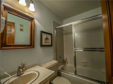 Steamboat Springs Home 927509