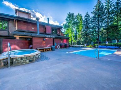 Steamboat Springs Home 927509