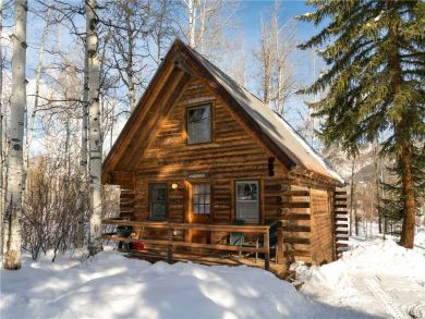 Steamboat Springs Home 927510