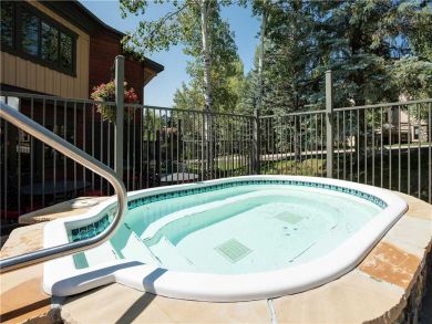 Steamboat Springs Home 927511