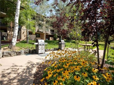 Steamboat Springs Home 927511