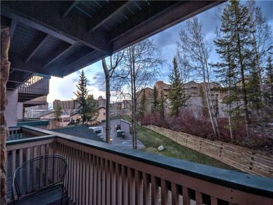 Steamboat Springs Home 927512