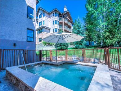 Steamboat Springs Home 927512