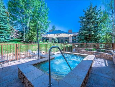 Steamboat Springs Home 927512