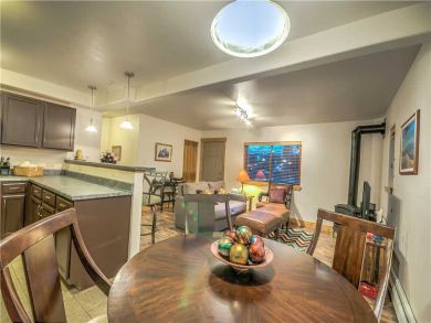 Steamboat Springs Home 927513