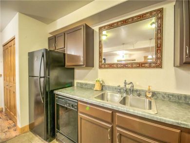Steamboat Springs Home 927513