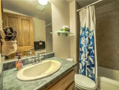 Steamboat Springs Home 927513