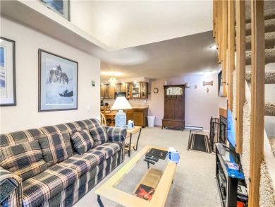 Steamboat Springs Home 927514