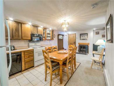 Steamboat Springs Home 927514