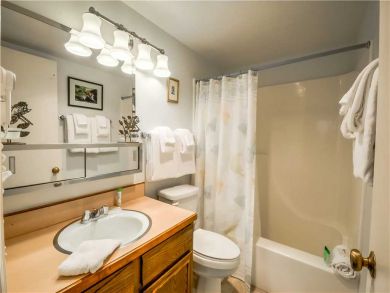 Steamboat Springs Home 927514