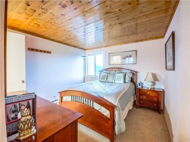 Steamboat Springs Home 927514