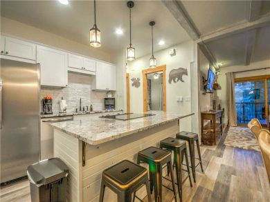 Steamboat Springs Home 927515