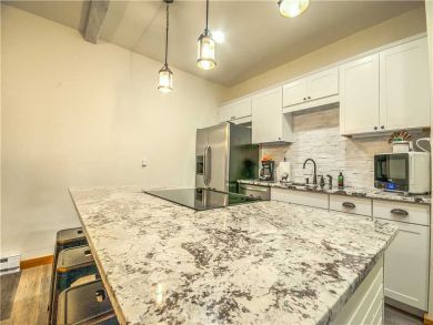 Steamboat Springs Home 927515