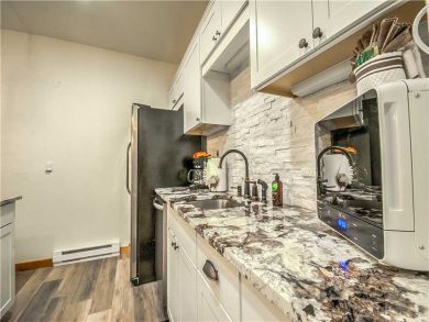 Steamboat Springs Home 927515
