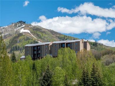 Steamboat Springs Home 927516