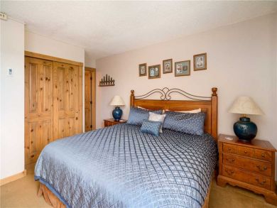 Steamboat Springs Home 927516