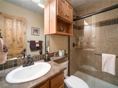 Steamboat Springs Home 927516