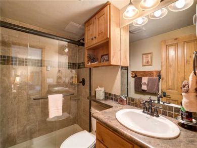 Steamboat Springs Home 927516