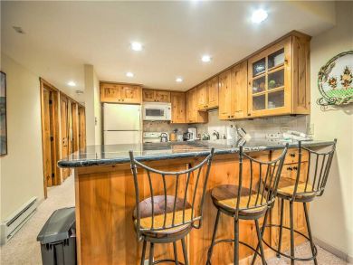 Steamboat Springs Home 927517 Steamboat Springs Home 927517
