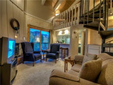 Steamboat Springs Home 927518