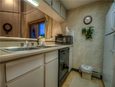 Steamboat Springs Home 927518