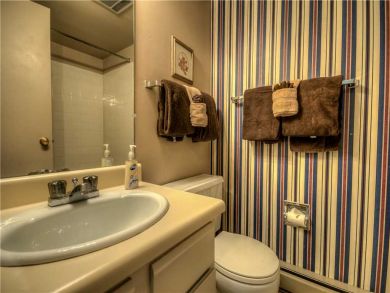 Steamboat Springs Home 927518