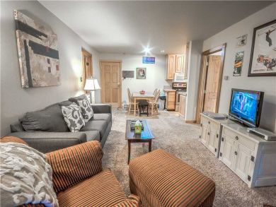 Steamboat Springs Home 927519