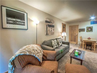 Steamboat Springs Home 927519