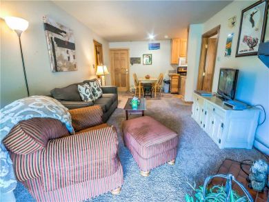 Steamboat Springs Home 927519