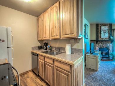Steamboat Springs Home 927519