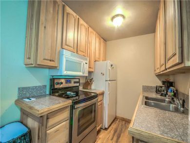 Steamboat Springs Home 927519