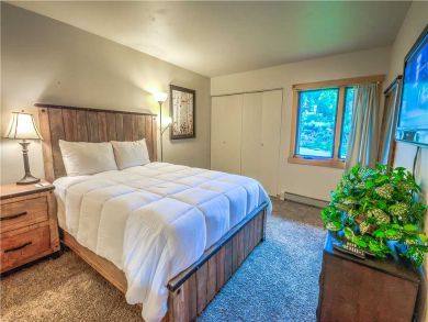 Steamboat Springs Home 927519