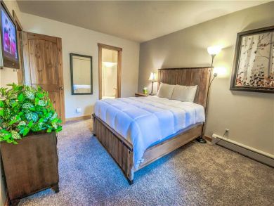 Steamboat Springs Home 927519