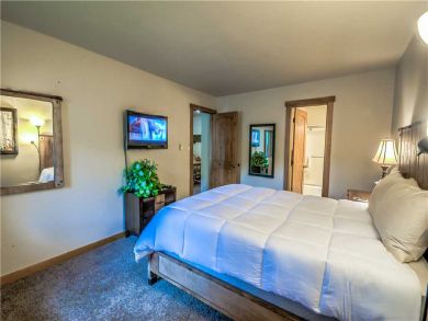 Steamboat Springs Home 927519