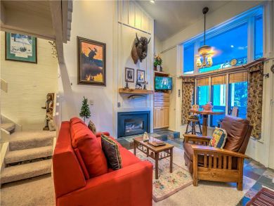 Steamboat Springs Home 927521