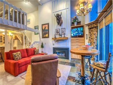 Steamboat Springs Home 927521